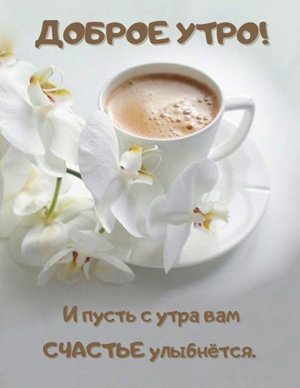 нежного утра