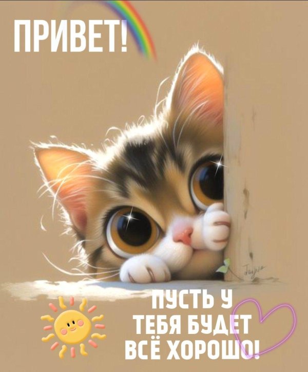 милые котики рисунки