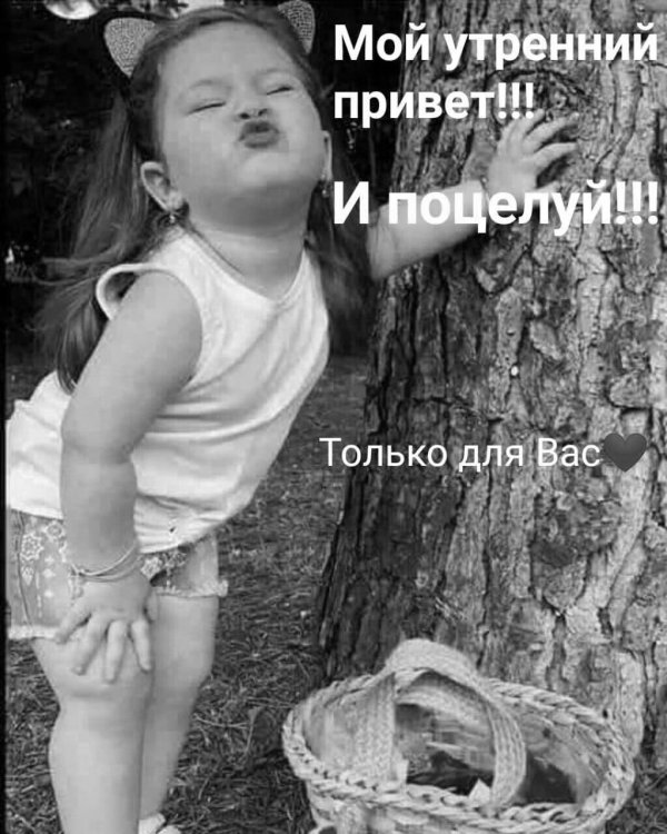 утренний привет