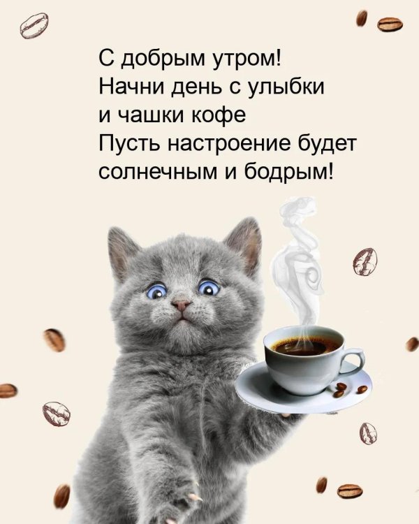 доброе утро котя