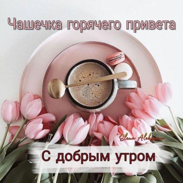 стильное доброе утро