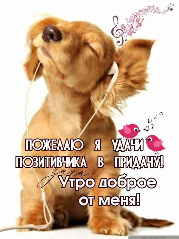 пожелание доброго утра прикольные