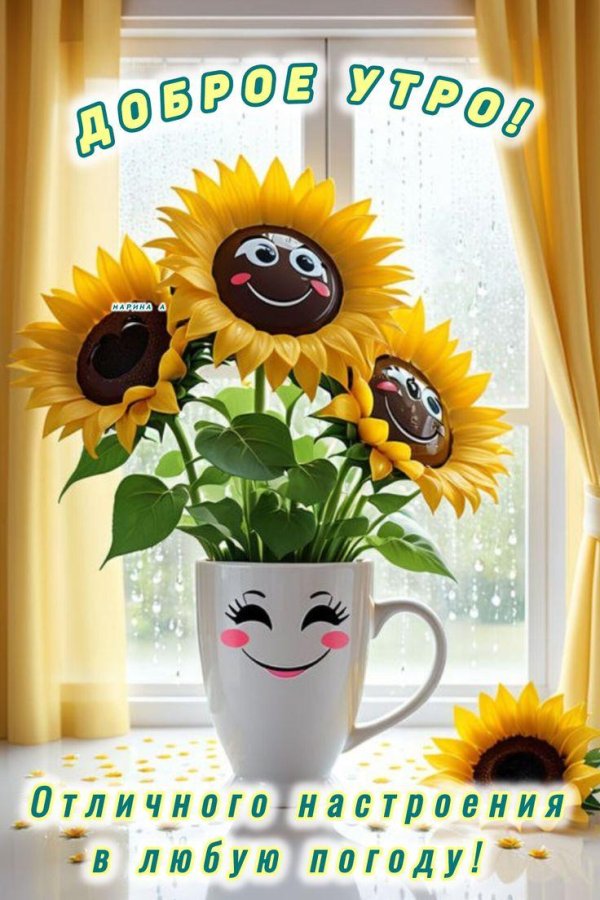 добра утра