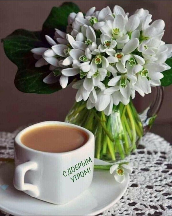 подснежник букет