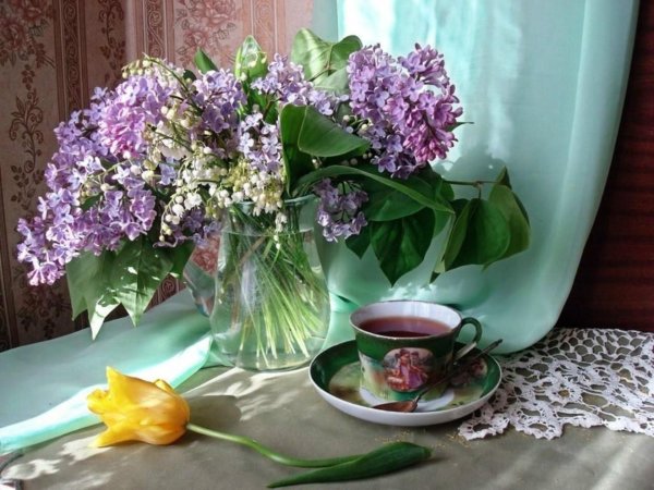 сирень натюрморт