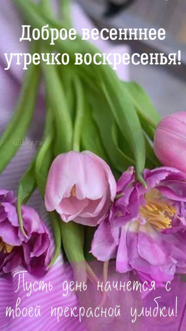 доброго весеннего утра открытки