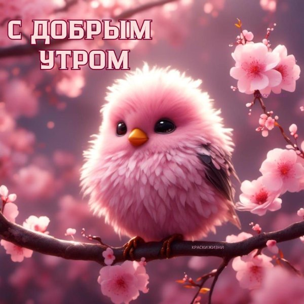 доброе утро с птичками