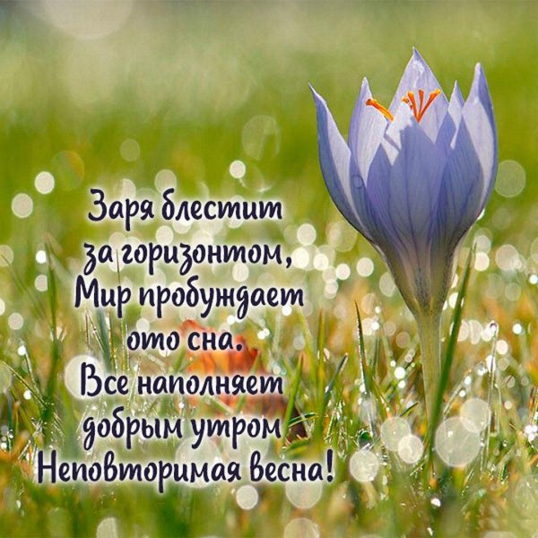 доброе утро воскресения весенние