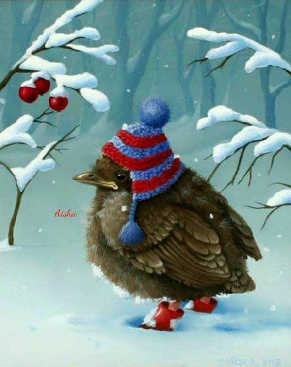 птица зимняя