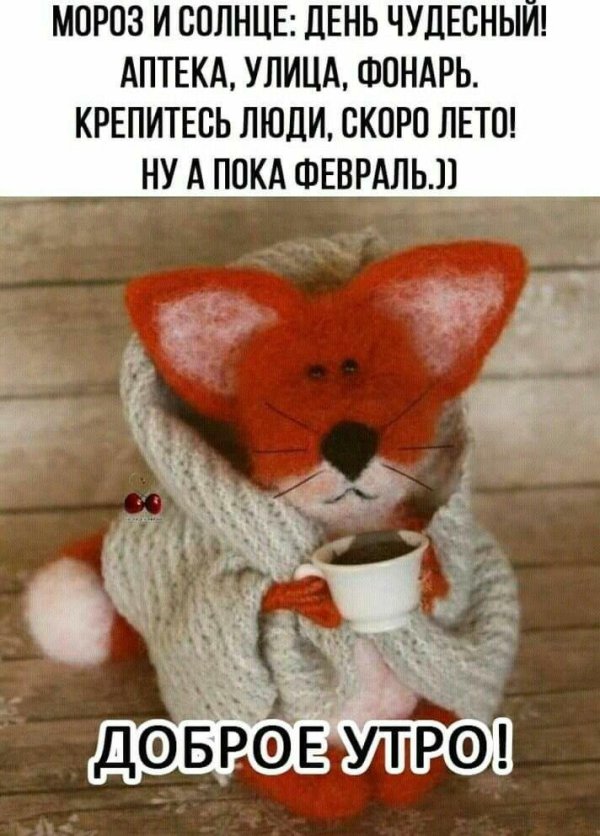 доброе утро лисенок