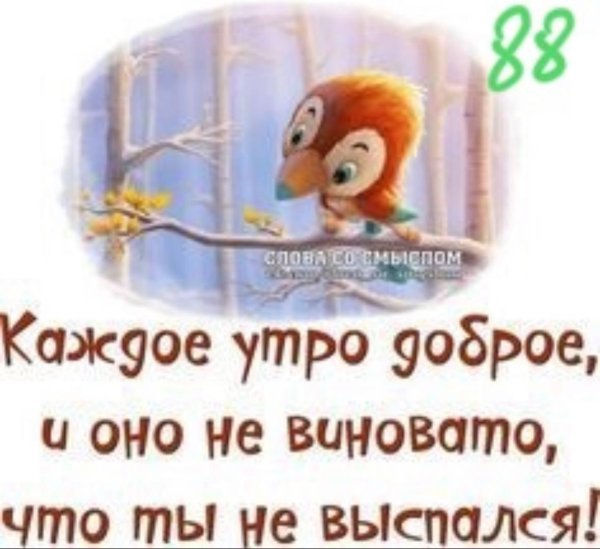 славные пташки мультфильм