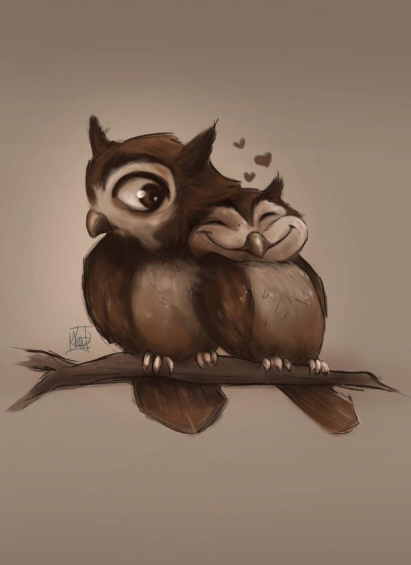 красивые рисунки совы