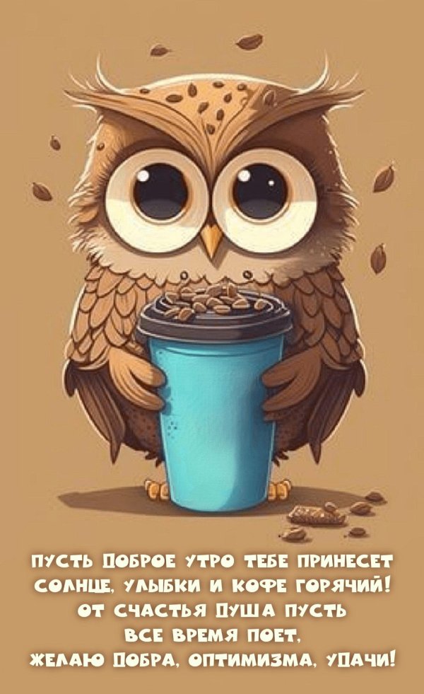 сова пьет кофе