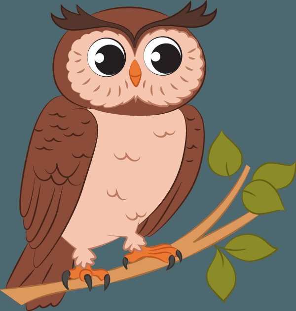 совы мультяшные