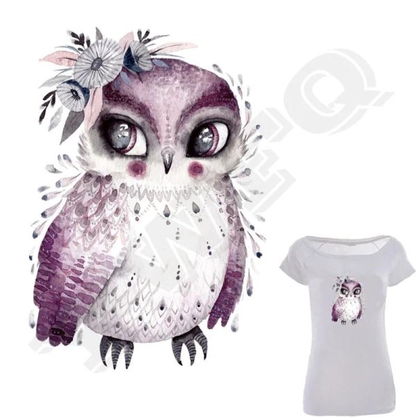 милая совушка