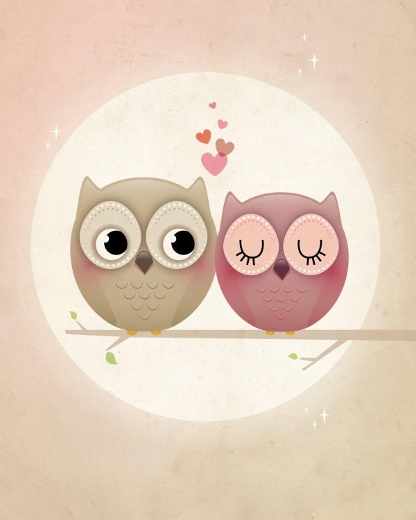 влюбленные совушки