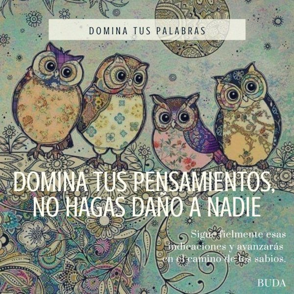 рисунок совушка