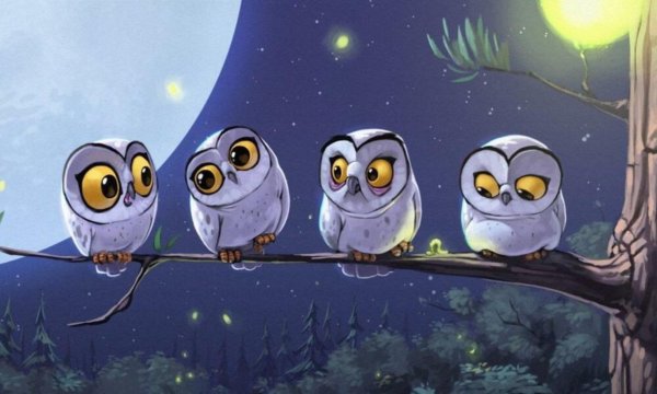 смешной совенок