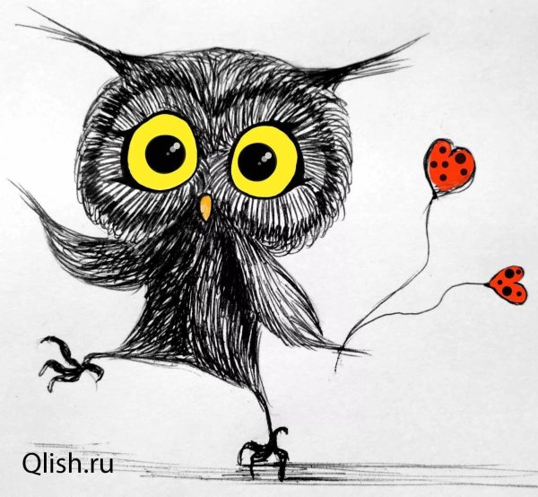 красивые рисунки совы