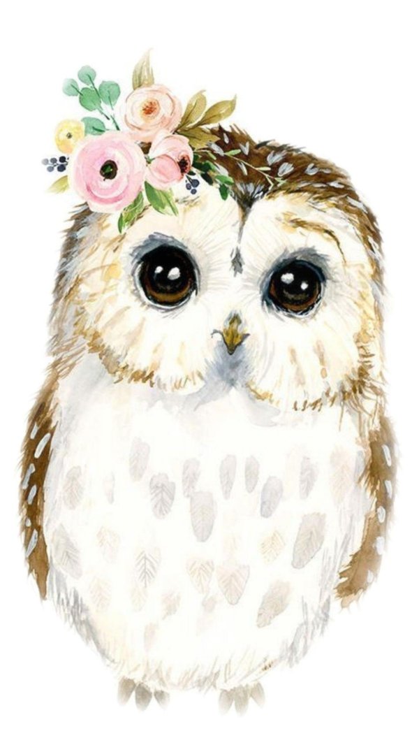 иллюстрации милые