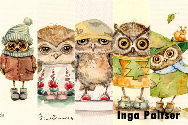 инга пальцер совушки