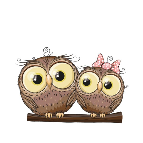 Совы нарисованные прикольные