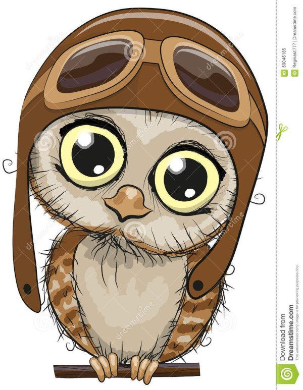 совенок летчик