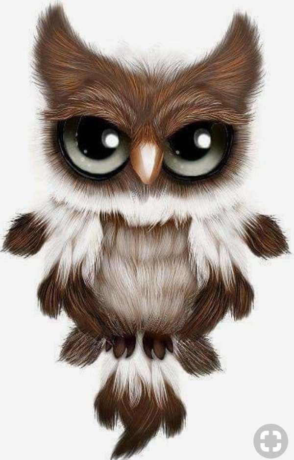 совенок из мультика