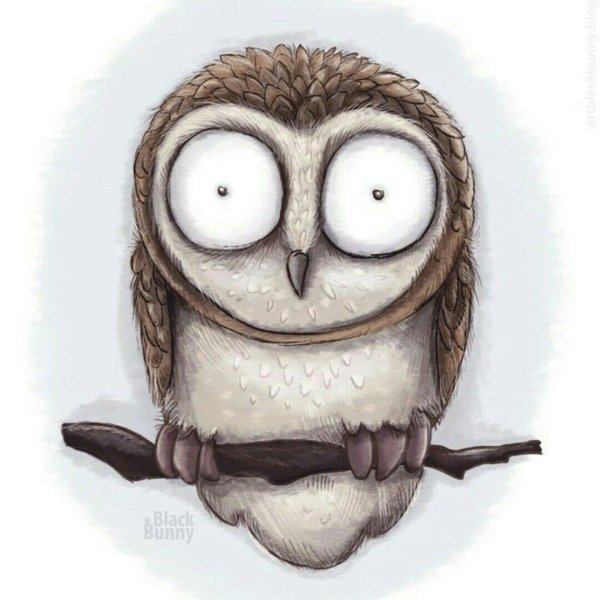 смешной совенок