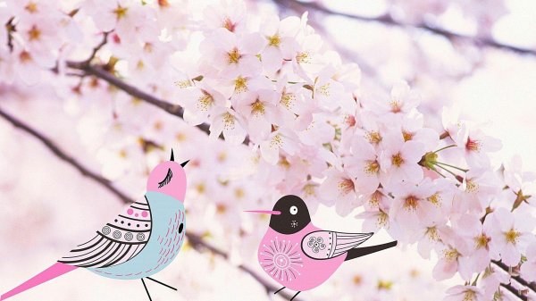 открытки с птичками