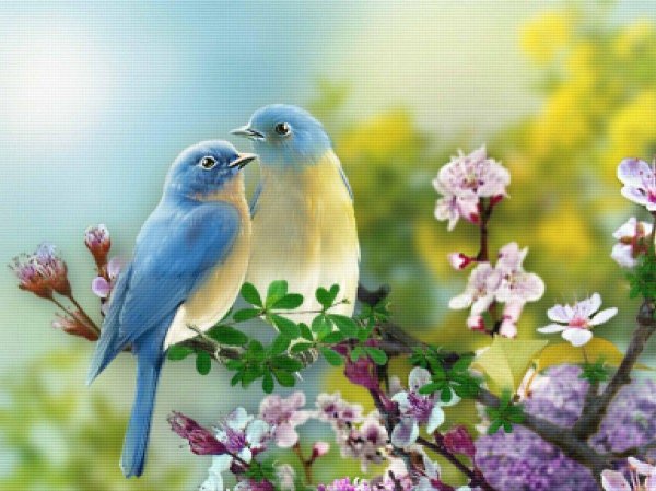 птица картина