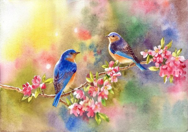 картины птиц