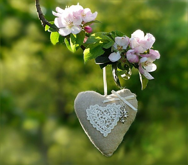 весеннее сердечко