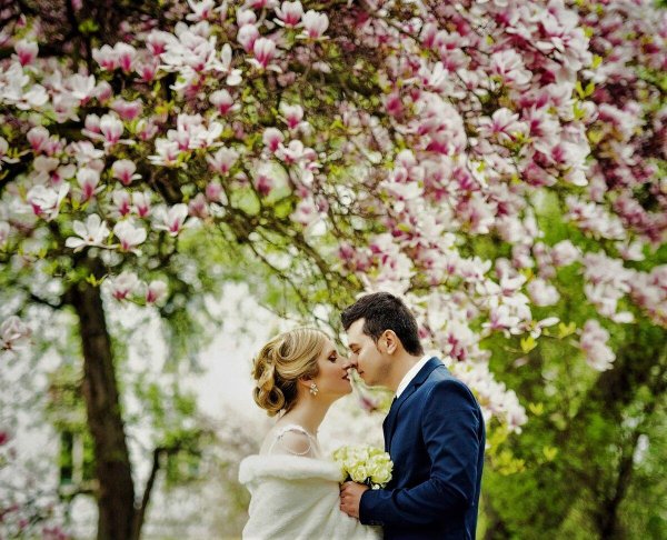 идеи для свадебной фотосессии