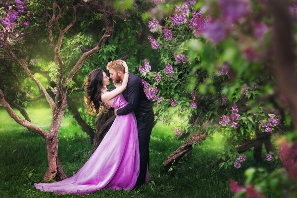 цветет сирень