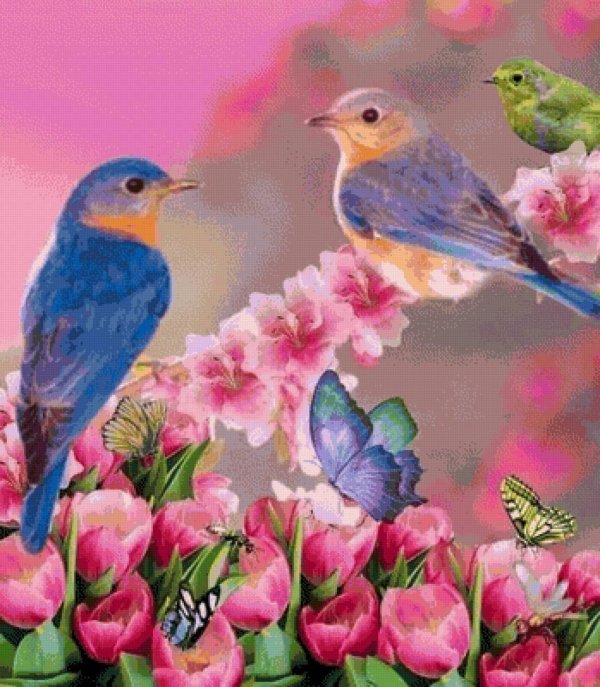 птица красивая