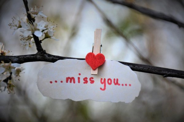 miss you