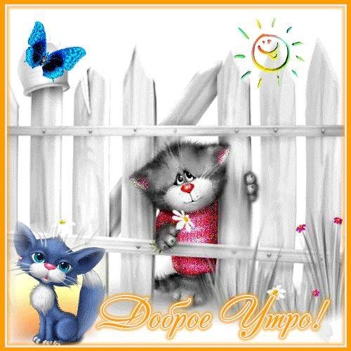 коты алексея долотова