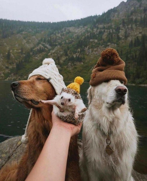 осень не повод грустить