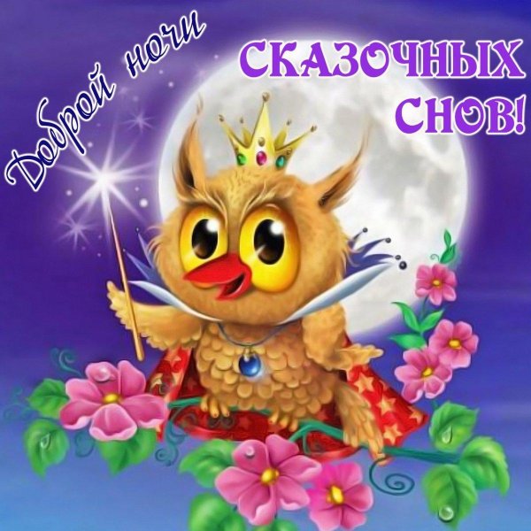 доброй ночи сова
