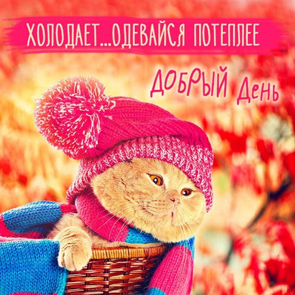 пора утепляться на осень