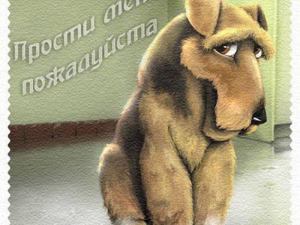 попросить прощения