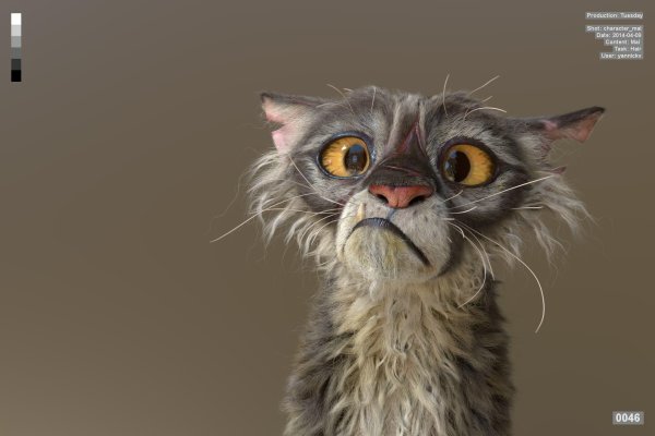 растрепанная кошка