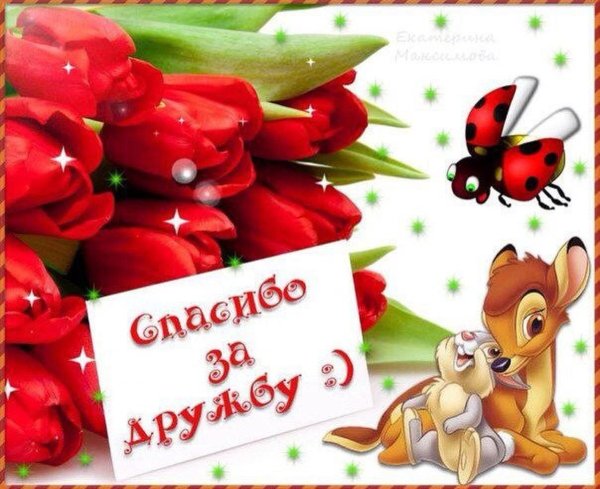 благодарю за дружбу