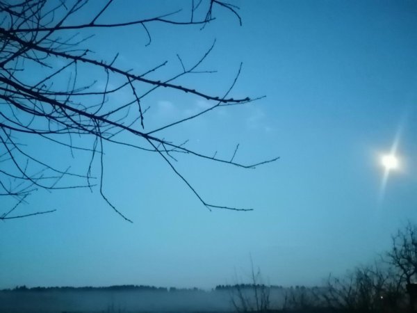 весеннего вечера