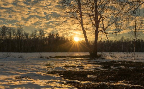красивые пейзажи ранней весны