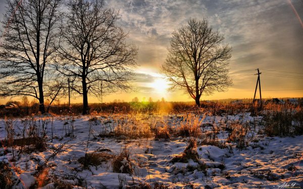 поздняя осень