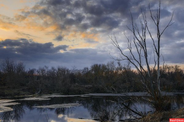 весенние пейзажи