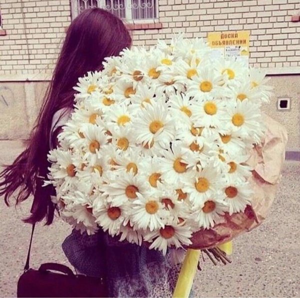 букет ромашек