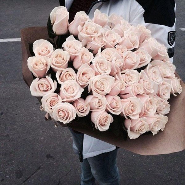 пудровые розы мента